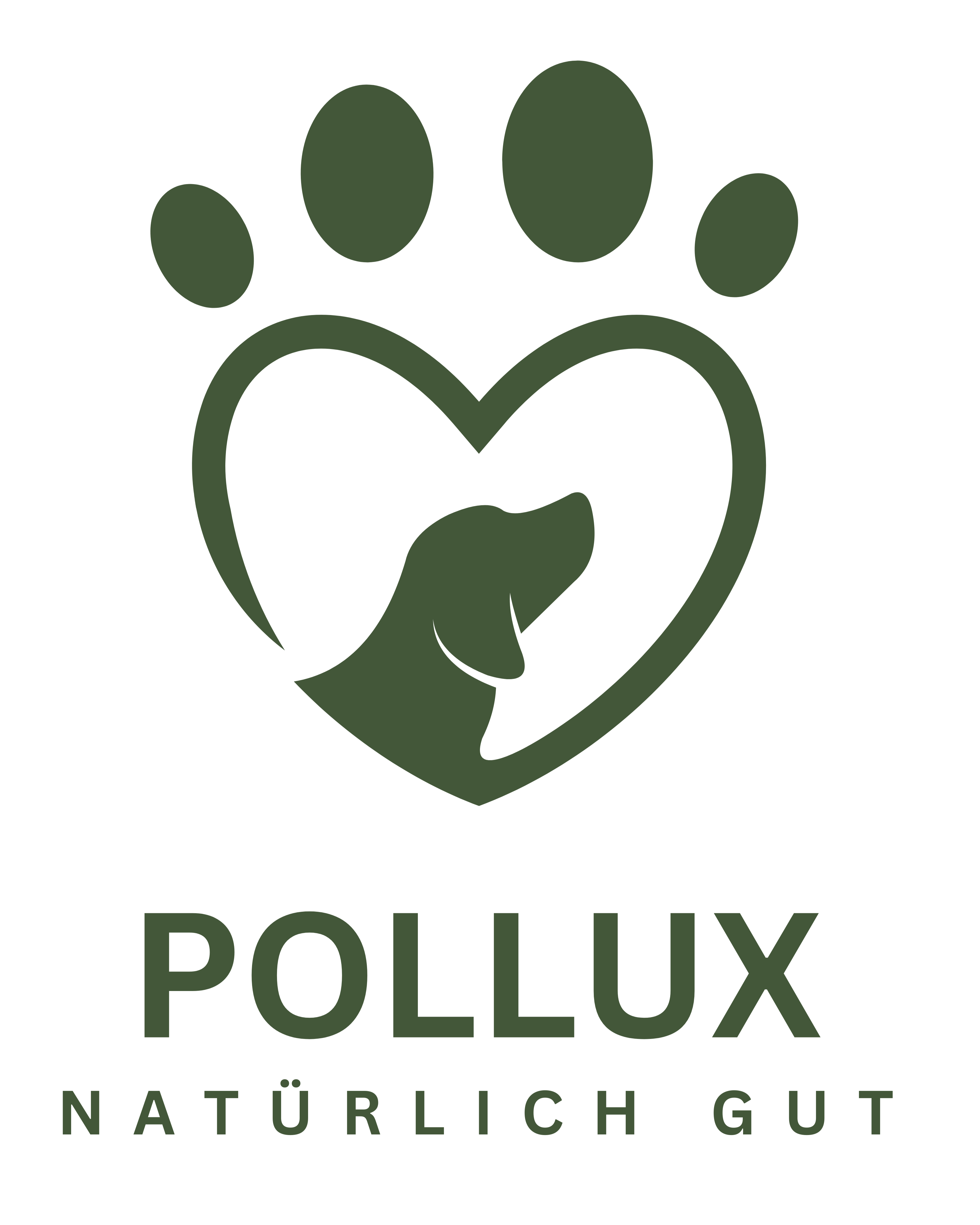 Pollux Hundefutter